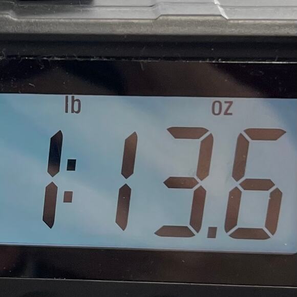 JustFab Jeans Acid Wash Women Size 22 with Belt - Picture 9 of 10